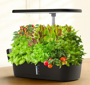 Full-spectrum plant grow lights, hydroponic LED plant lights, and planting kits and systems for soilless cultivation.