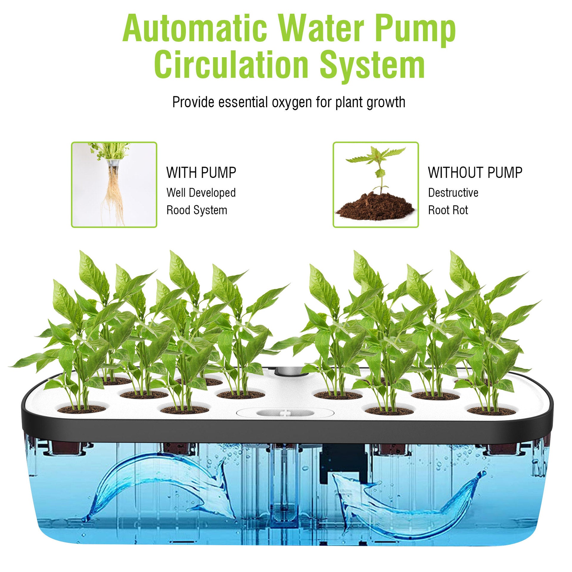 Full-spectrum plant grow lights, hydroponic LED plant lights, and planting kits and systems for soilless cultivation.
