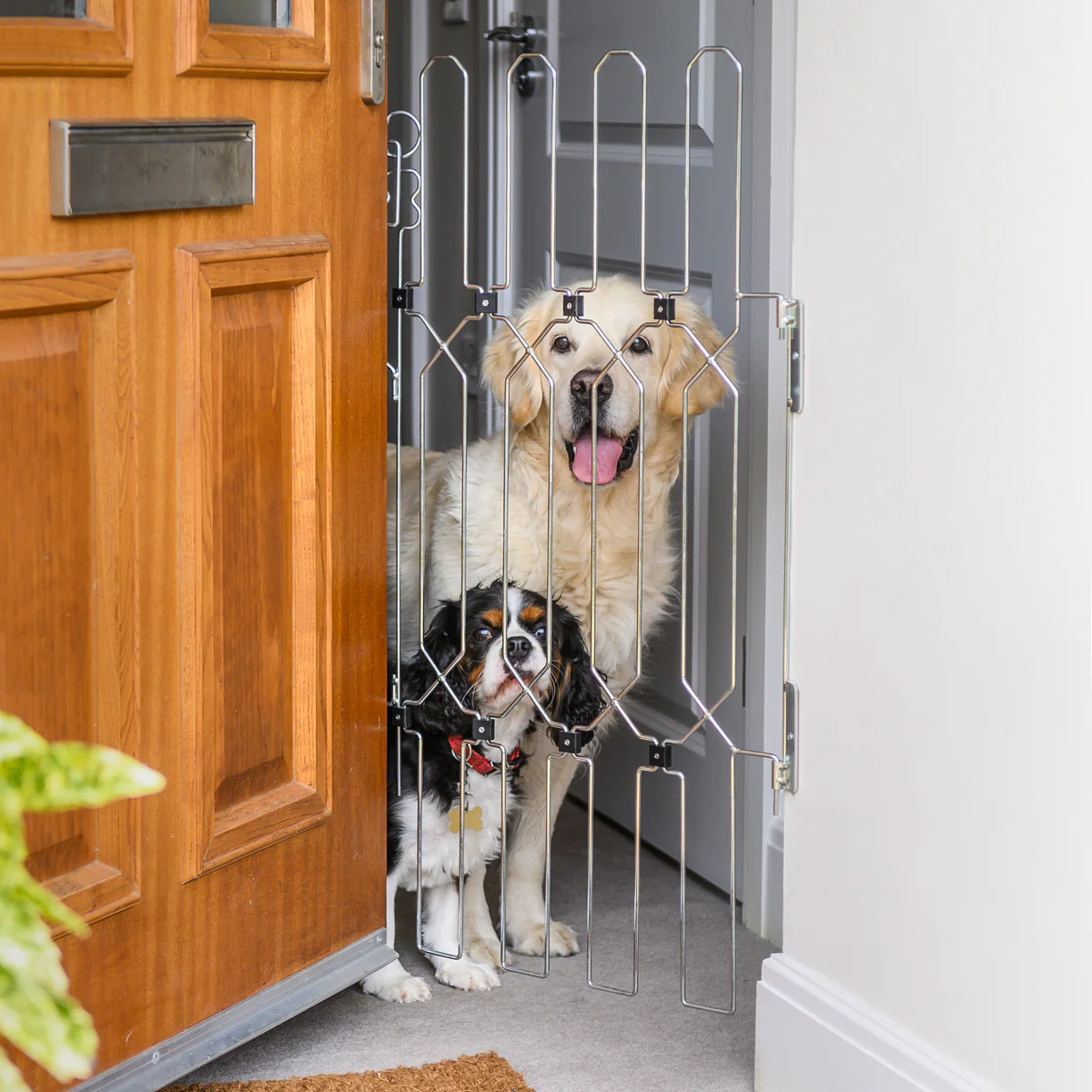 Portable folding pet gate, durable metal, retractable dog fence, isolation gate, indoor protective fence.