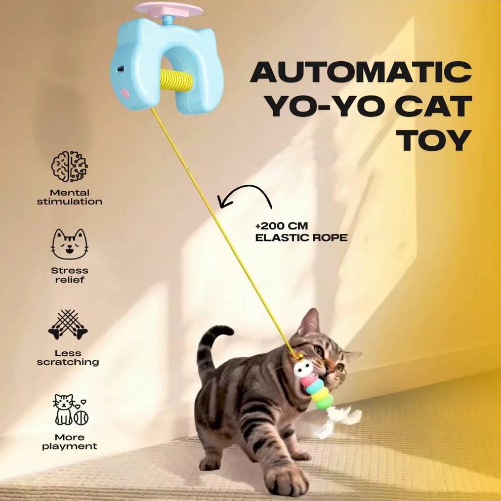 Pet cat toys, cat leash, self-entertainment and entertainment device, pet supplies, pet toys, cat toys