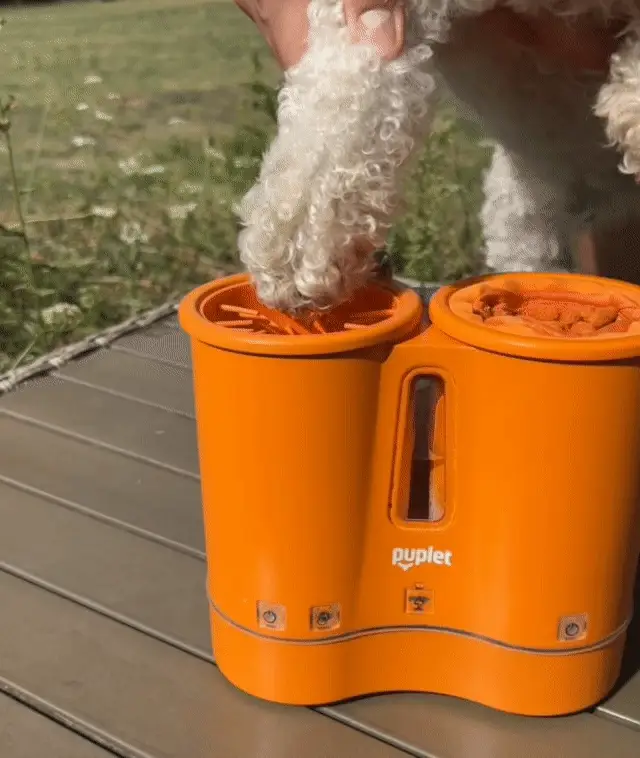 Clean, disinfect & dry your dog’s paws in 30 seconds