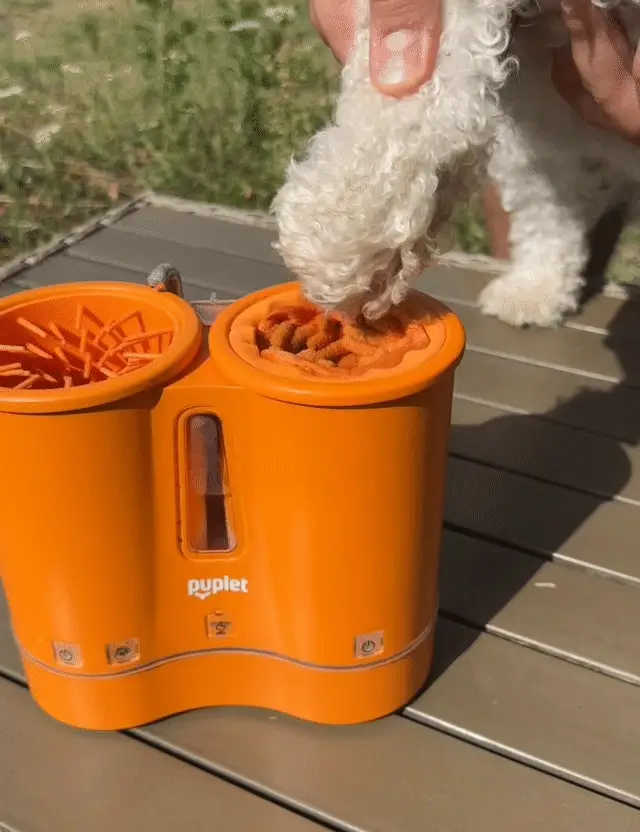 Clean, disinfect & dry your dog’s paws in 30 seconds