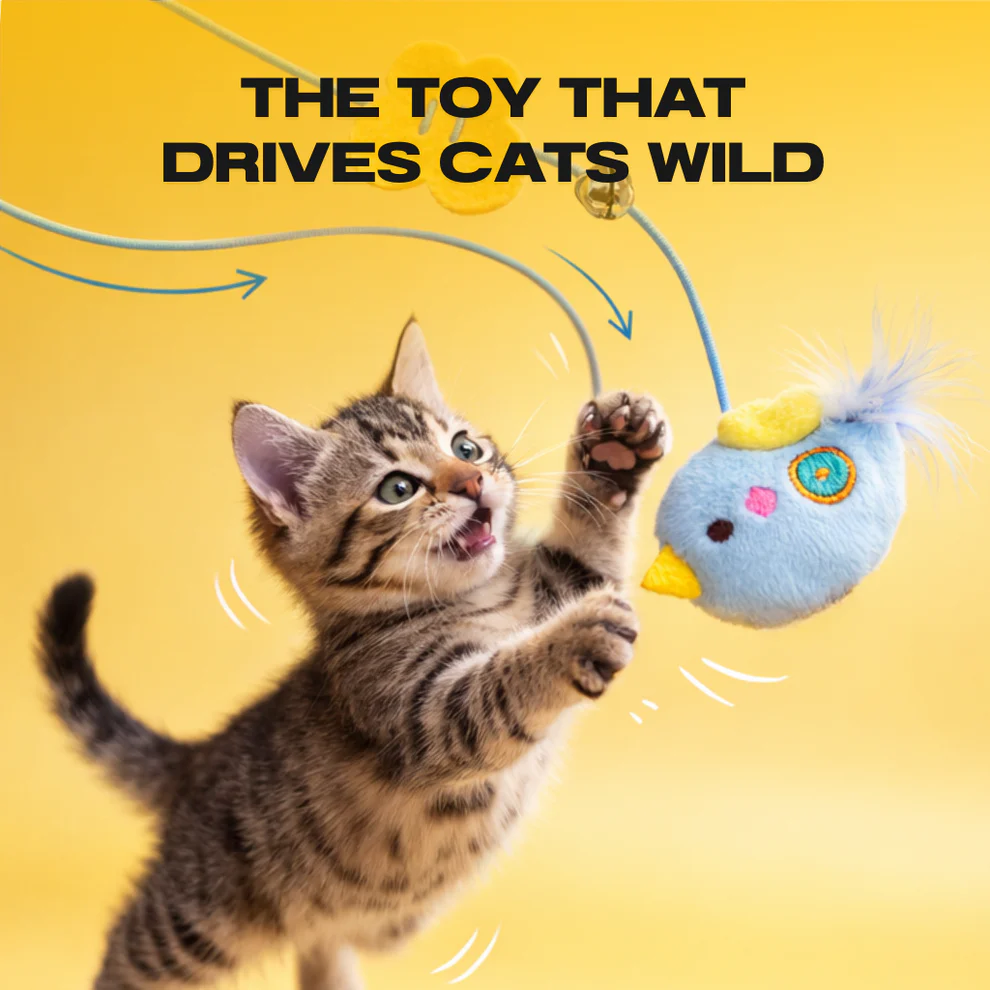 Pet cat toys, cat leash, self-entertainment and entertainment device, pet supplies, pet toys, cat toys