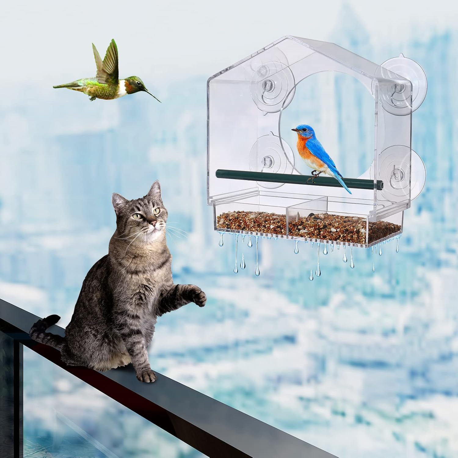 Outside Large Clear Window Mounted Bird House Feeders with Strong Suction Cups and Removable Seed Tray, Acrylic Clear, for Cardinals, Blue Jays, Finches