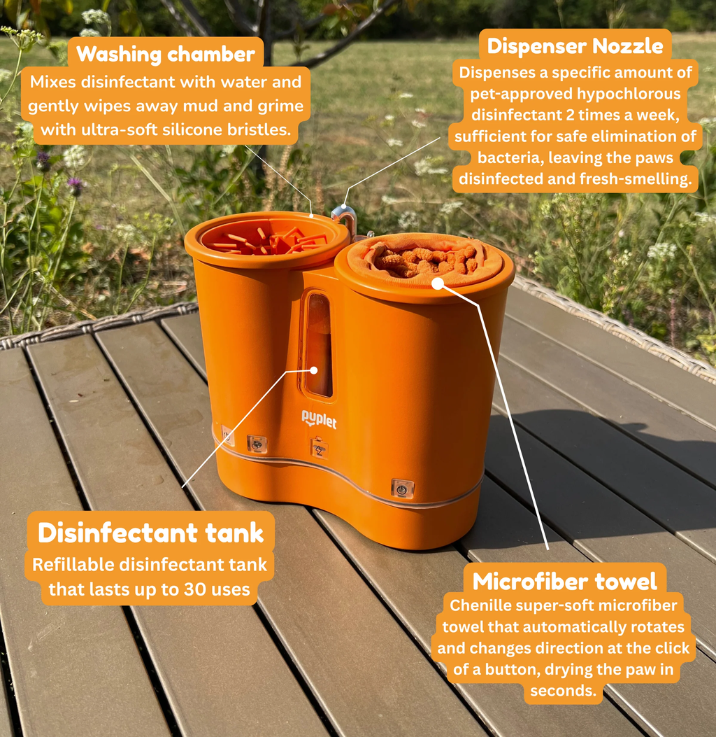 Clean, disinfect & dry your dog’s paws in 30 seconds