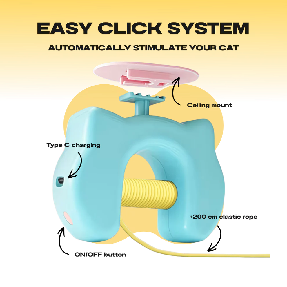 Pet cat toys, cat leash, self-entertainment and entertainment device, pet supplies, pet toys, cat toys