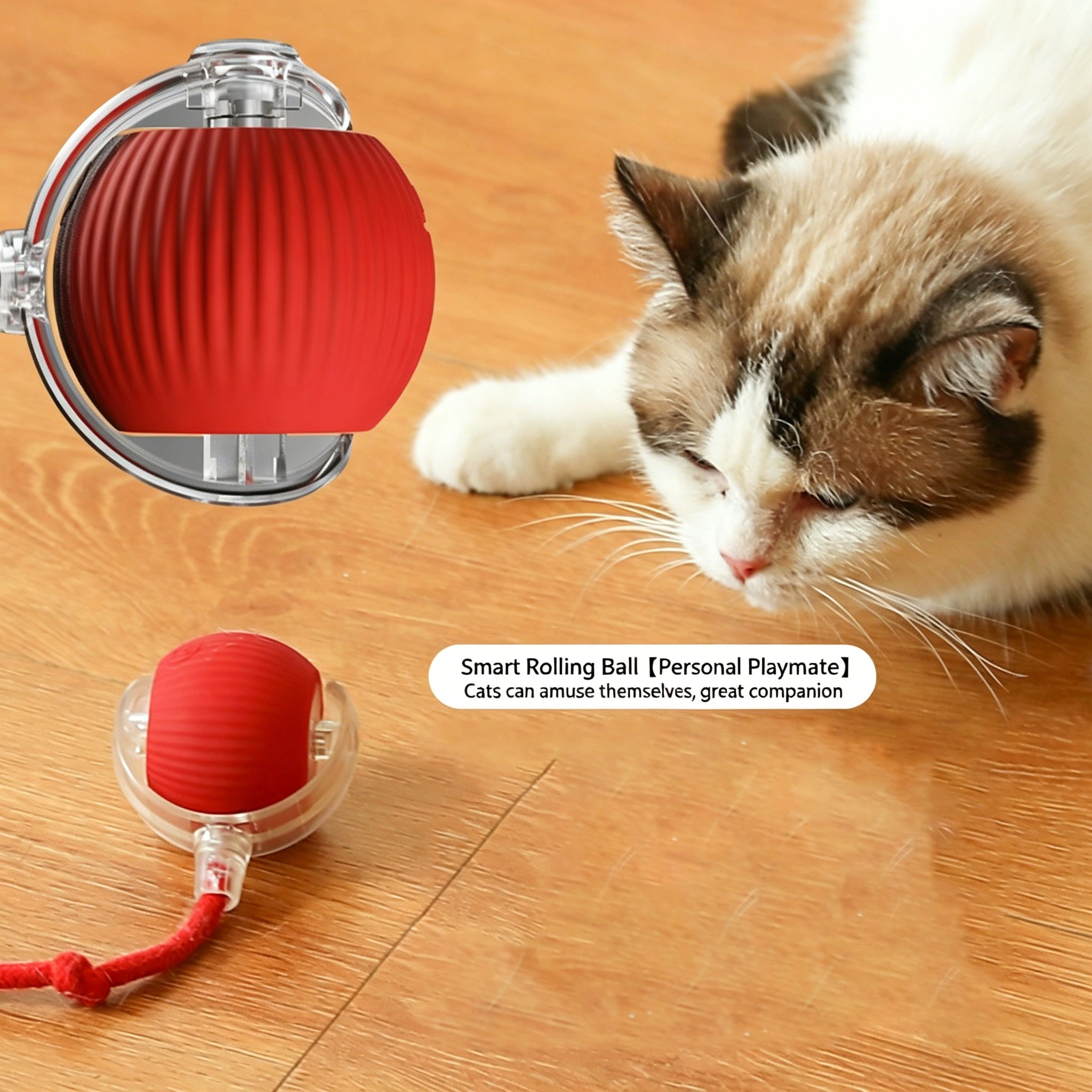 Cat toys for self-entertainment and relaxation, smart cat teasing ball, automatic cat teasing stick, cat and dog walking ball, electric rolling ball.